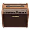 Fishman Loudbox Mini BT 60-watt 1 x 6.5-inch Acoustic Guitar Amplifier