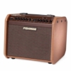 Fishman Loudbox Mini BT 60-watt 1 x 6.5-inch Acoustic Guitar Amplifier
