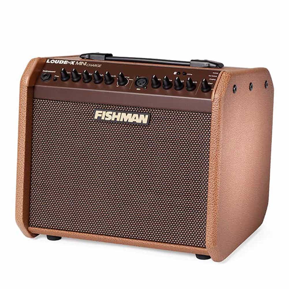 Fishman Loudbox Mini BT 60-watt 1 x 6.5-inch Acoustic Guitar Amplifier
