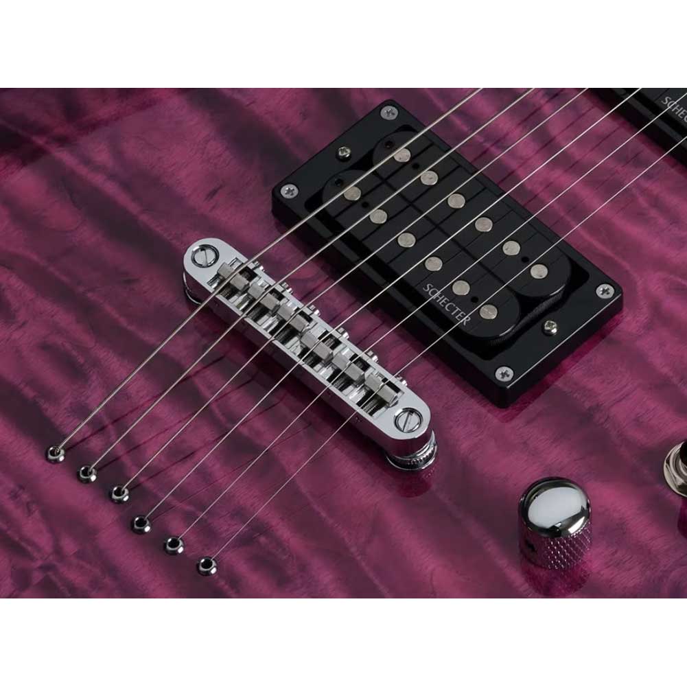 Schecter C-6 Plus EM 445 Electric Guitar 6 String Schecter C-6 Plus EM 445 Electric Guitar 6 String