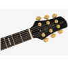 Sire Larry Carlton Q7 Series TS HH Gold Hardware Electric guitar with Gig Bag Sire Larry Carlton Q7 Series TS HH Gold Hardware Electric guitar with Gig Bag
