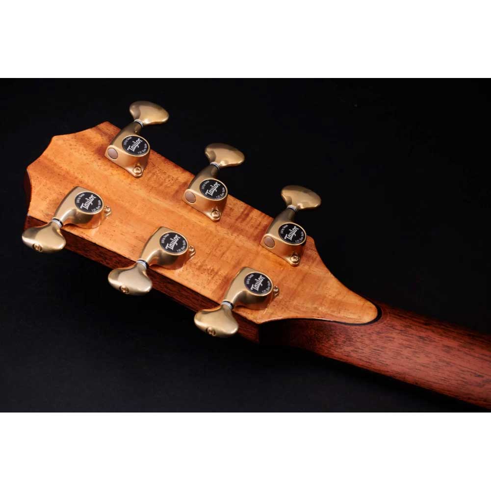 Taylor Custom #34 C14ce B4034 Grand Auditorium Expression System 2 with TaylorSense Electro Acoustic Guitar with Taylor Deluxe Brown Hardshell Case