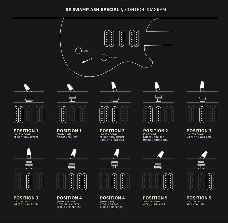 PRS SE Swamp Ash Special Config