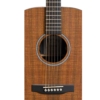 Martin D-X1E Koa Figured Koa Electro Acoustic guitar with Gig Bag 11DX1EKOA Martin D-X1E Koa Figured Koa Electro Acoustic guitar with Gig Bag 11DX1EKOA