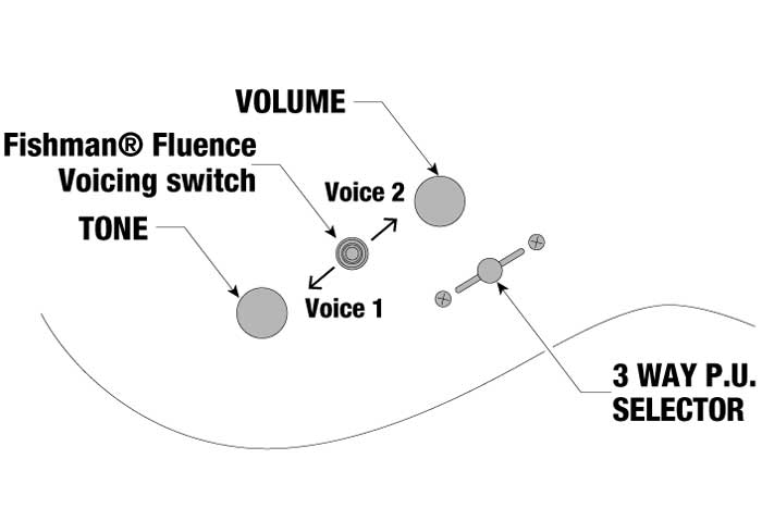 3 Way Fishman Fluence