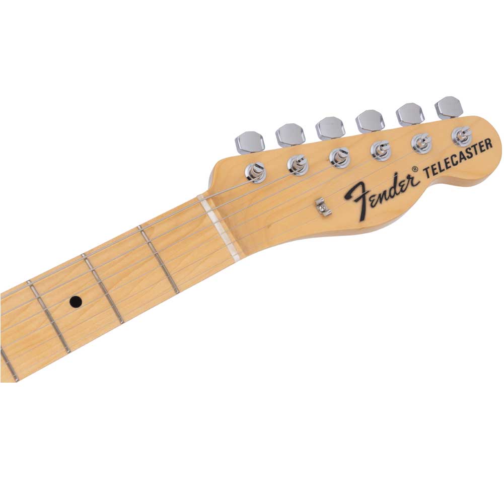 Fender Japanese Black Paisley Telecaster Limited Edition SS Maple Fingerboard with Gig Bag 5631102337