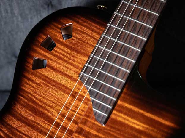 SOLID SPRUCE TOP WITH EXOTIC TOP VENEER