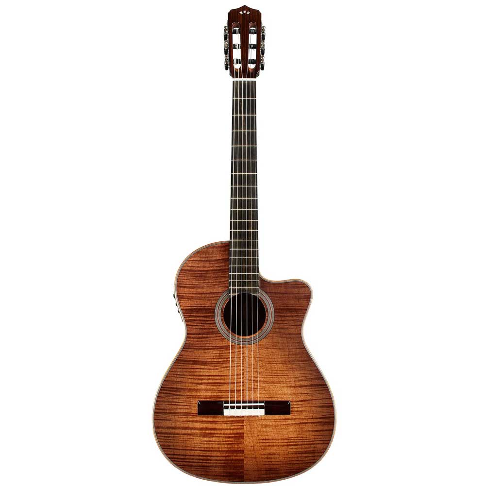 Cordoba Fusion 12 Crossover Exotic Top Cinnamon Burst Nylon String Electro Acoustic Classical Guitar 99-750-0320