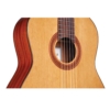 Cordoba C5 CD Lefty Cedar Nylon String Left Handed Electro Acoustic Guitar 99-751-0260 Cordoba C5 CD Lefty Cedar Nylon String Left Handed Electro Acoustic Guitar 99-751-0260