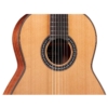 Cordoba C9 Parlor Cedar Top 7/8 size Nylon String Acoustic Classical Guitar with Gig Bag 99-753-0130 Cordoba C9 Parlor Cedar Top 7/8 size Nylon String Acoustic Classical Guitar with Gig Bag 99-753-0130