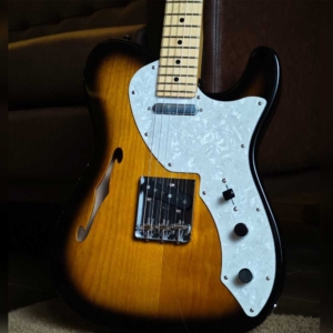 Tokai ATE-101-THN GS Thinline Breezy sound T-Style Maple Fingerboard Electric Guitar with Hardcase made in Japan