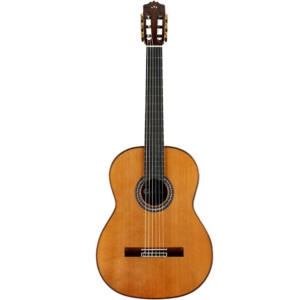 Cordoba C10 CD Cedar Top Nylon String Acoustic Classical Guitar with Gig Bag 99-753-0100
