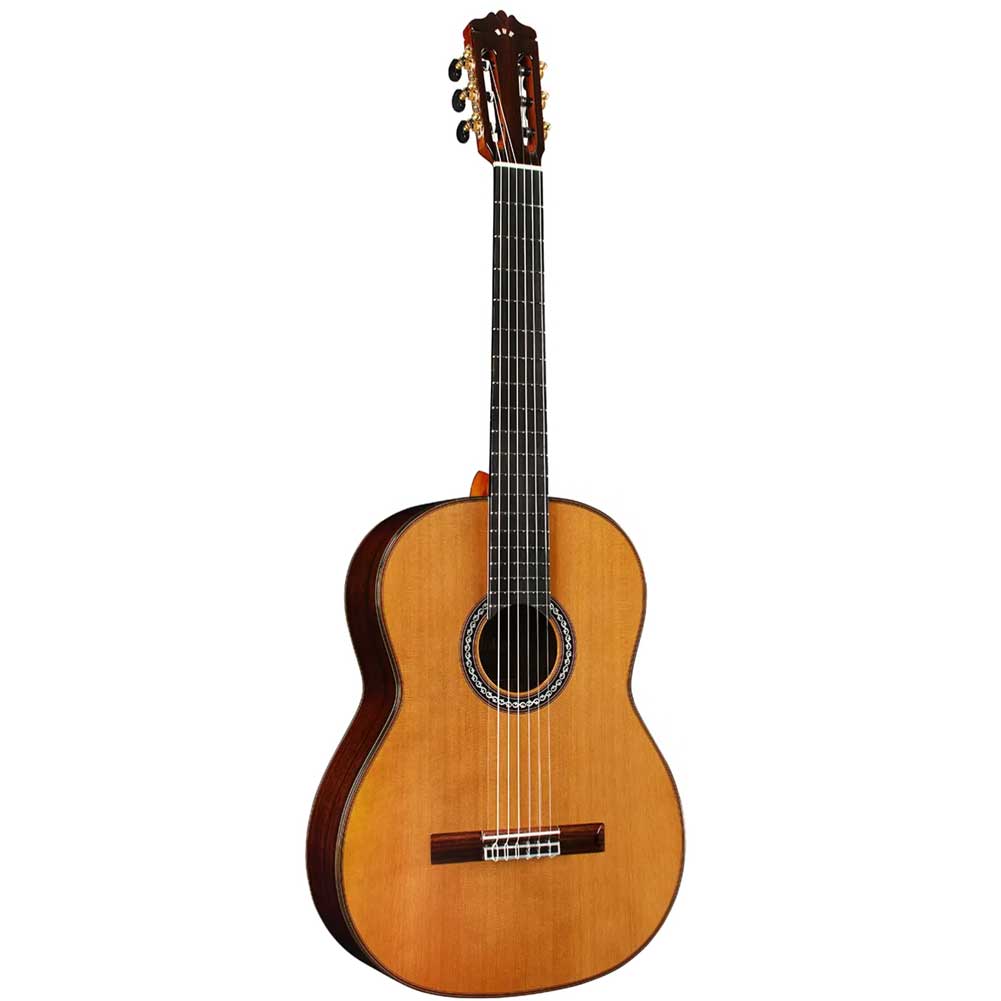 Cordoba C10 CD Cedar Top Nylon String Acoustic Classical Guitar with Gig Bag 99-753-0100