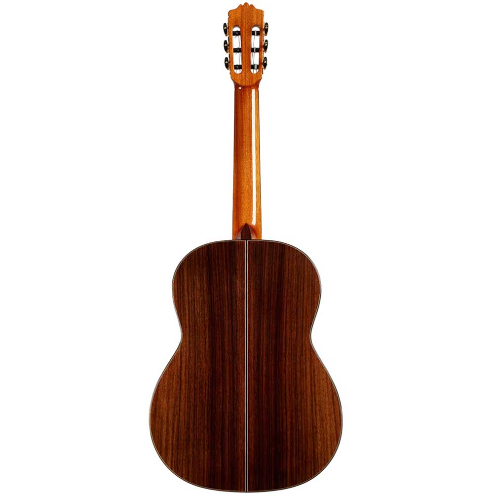 Cordoba C10 CD Cedar Top Nylon String Acoustic Classical Guitar with Gig Bag 99-753-0100