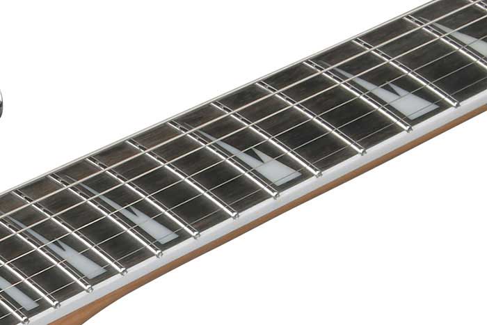 Ebony fretboard