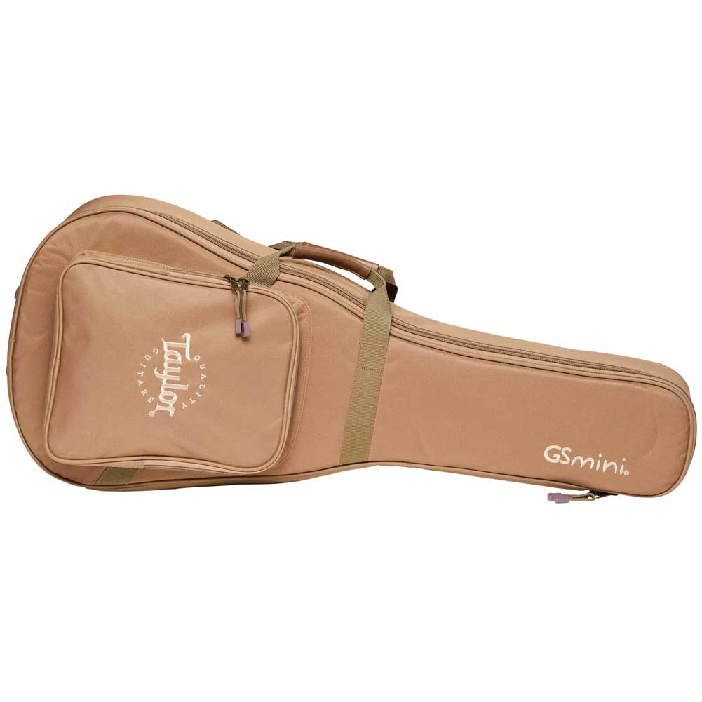 Taylor Gig bag