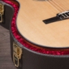Taylor 312ce-N Natural Grand Concert Cutaway ES-N pickup Nylon Electro Acoustic Guitar with hardshell case Taylor 312ce-N Natural Grand Concert Cutaway ES-N pickup Nylon Electro Acoustic Guitar with hardshell case