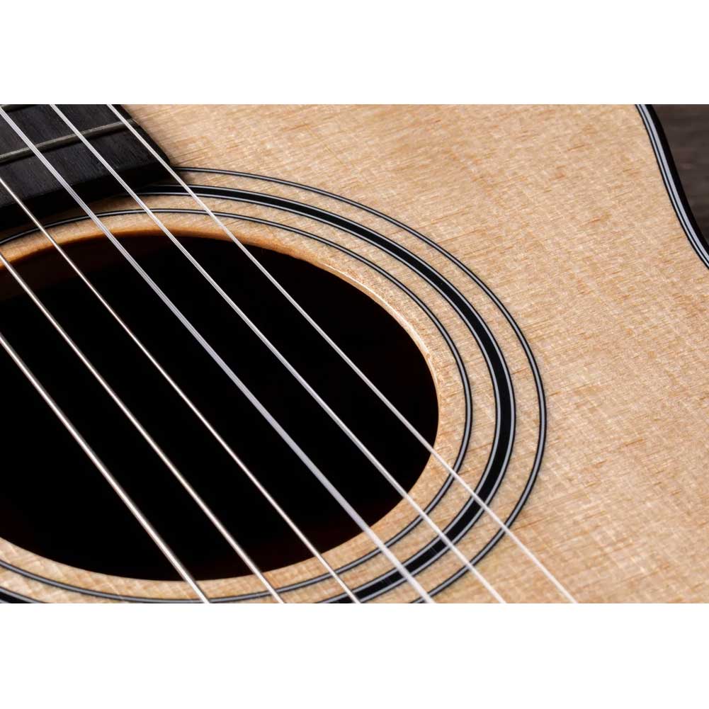 Taylor 312ce-N Natural Grand Concert Cutaway ES-N pickup Nylon Electro Acoustic Guitar with hardshell case Taylor 312ce-N Natural Grand Concert Cutaway ES-N pickup Nylon Electro Acoustic Guitar with hardshell case