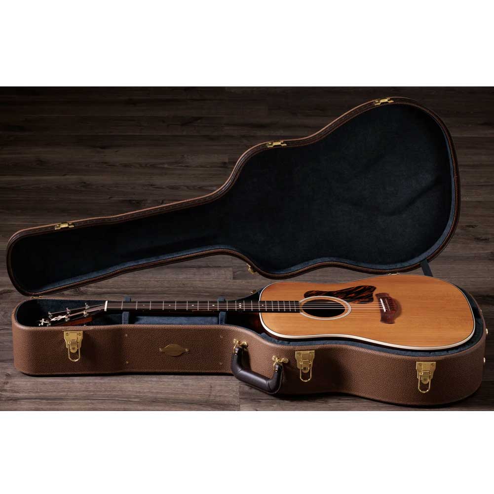 Taylor Gold Label 710e Natural LR Baggs electronics Electro Acoustic Guitar with hardshell case