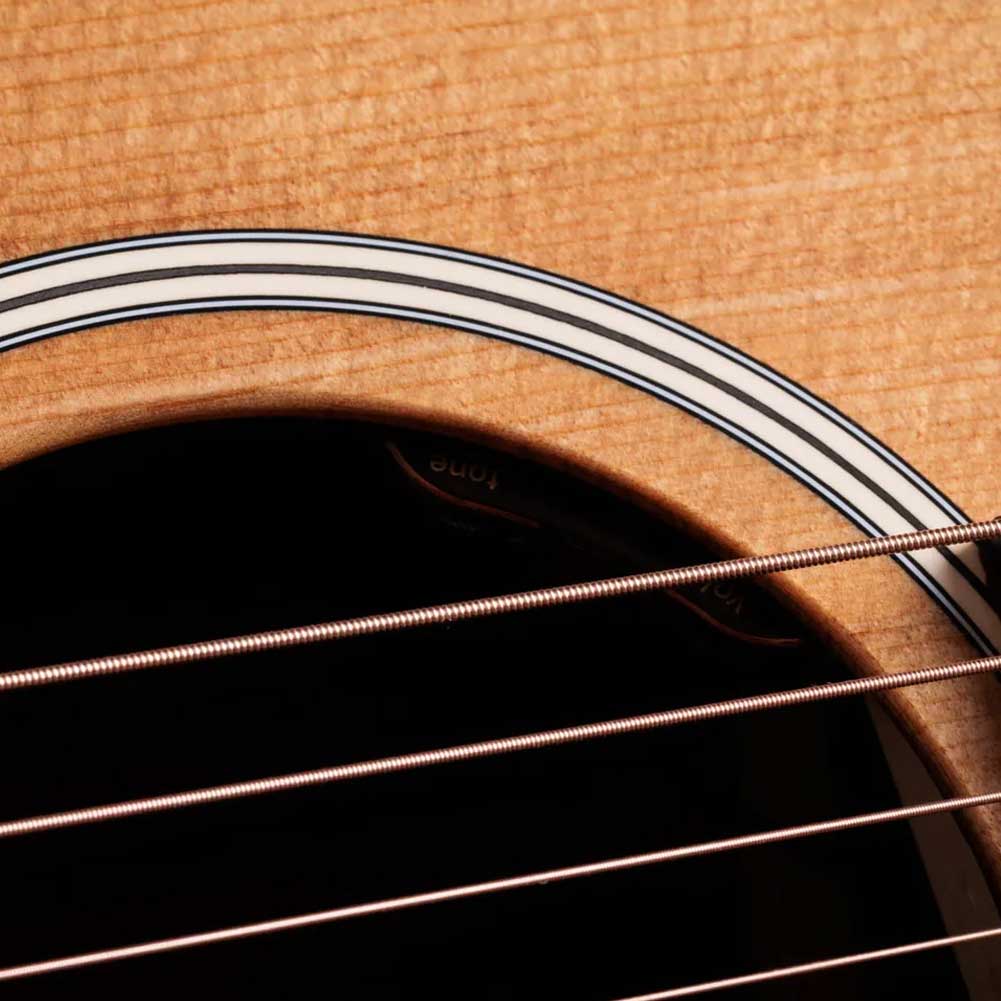 Taylor Gold Label 710e Natural LR Baggs electronics Electro Acoustic Guitar with hardshell case