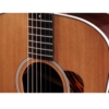 Taylor Gold Label 710e Natural LR Baggs electronics Electro Acoustic Guitar with hardshell case