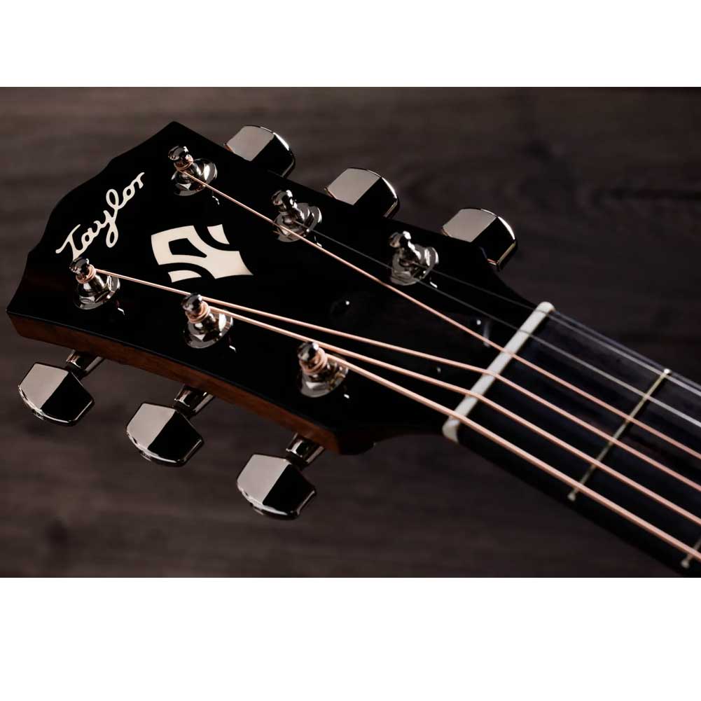 Taylor Gold Label 710e Natural LR Baggs electronics Electro Acoustic Guitar with hardshell case