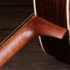 Taylor Gold Label 710e Natural LR Baggs electronics Electro Acoustic Guitar with hardshell case