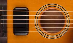 ACOUSTASONIC STANDARD SHAWBUCKER