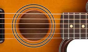 FENDER FIRSTS