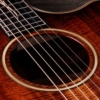 Taylor Next Generation K24ce Shaded Edgeburst Grand Auditorium Claria Electronics Electro Acoustic Guitar with Deluxe Hardshell Case Taylor Next Generation K24ce Shaded Edgeburst Grand Auditorium Claria Electronics Electro Acoustic Guitar with Deluxe Hardshell Case