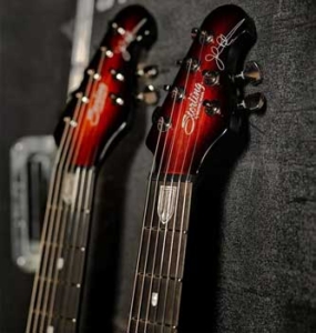24 STAINLESS STEEL FRETS