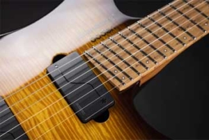 .strandberg* POWR:D BY FISHMAN PICKUPS