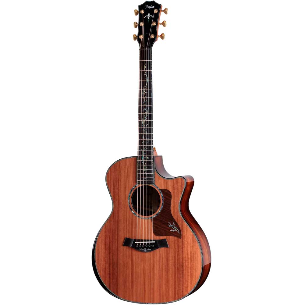Taylor Next Generation PS14ce Claria electronics Electro Acoustic Guitar with Deluxe Hardshell Case Taylor Next Generation PS14ce Claria electronics Electro Acoustic Guitar with Deluxe Hardshell Case