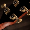 Taylor Next Generation PS14ce Claria electronics Electro Acoustic Guitar with Deluxe Hardshell Case Taylor Next Generation PS14ce Claria electronics Electro Acoustic Guitar with Deluxe Hardshell Case