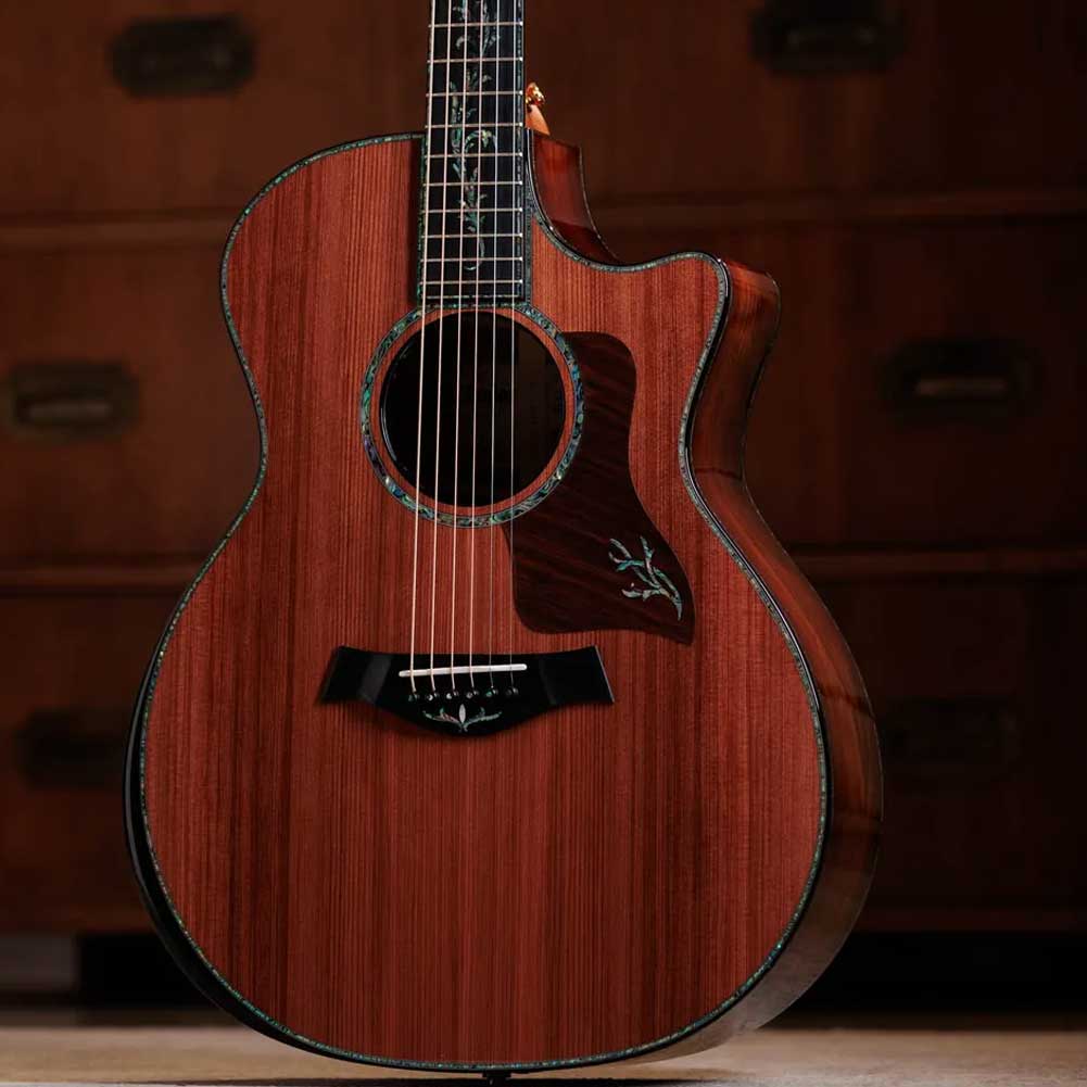 Taylor Next Generation PS14ce Claria electronics Electro Acoustic Guitar with Deluxe Hardshell Case Taylor Next Generation PS14ce Claria electronics Electro Acoustic Guitar with Deluxe Hardshell Case