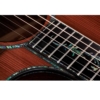 Taylor Next Generation PS14ce Claria electronics Electro Acoustic Guitar with Deluxe Hardshell Case Taylor Next Generation PS14ce Claria electronics Electro Acoustic Guitar with Deluxe Hardshell Case