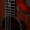 Taylor Next Generation PS14ce Claria electronics Electro Acoustic Guitar with Deluxe Hardshell Case Taylor Next Generation PS14ce Claria electronics Electro Acoustic Guitar with Deluxe Hardshell Case