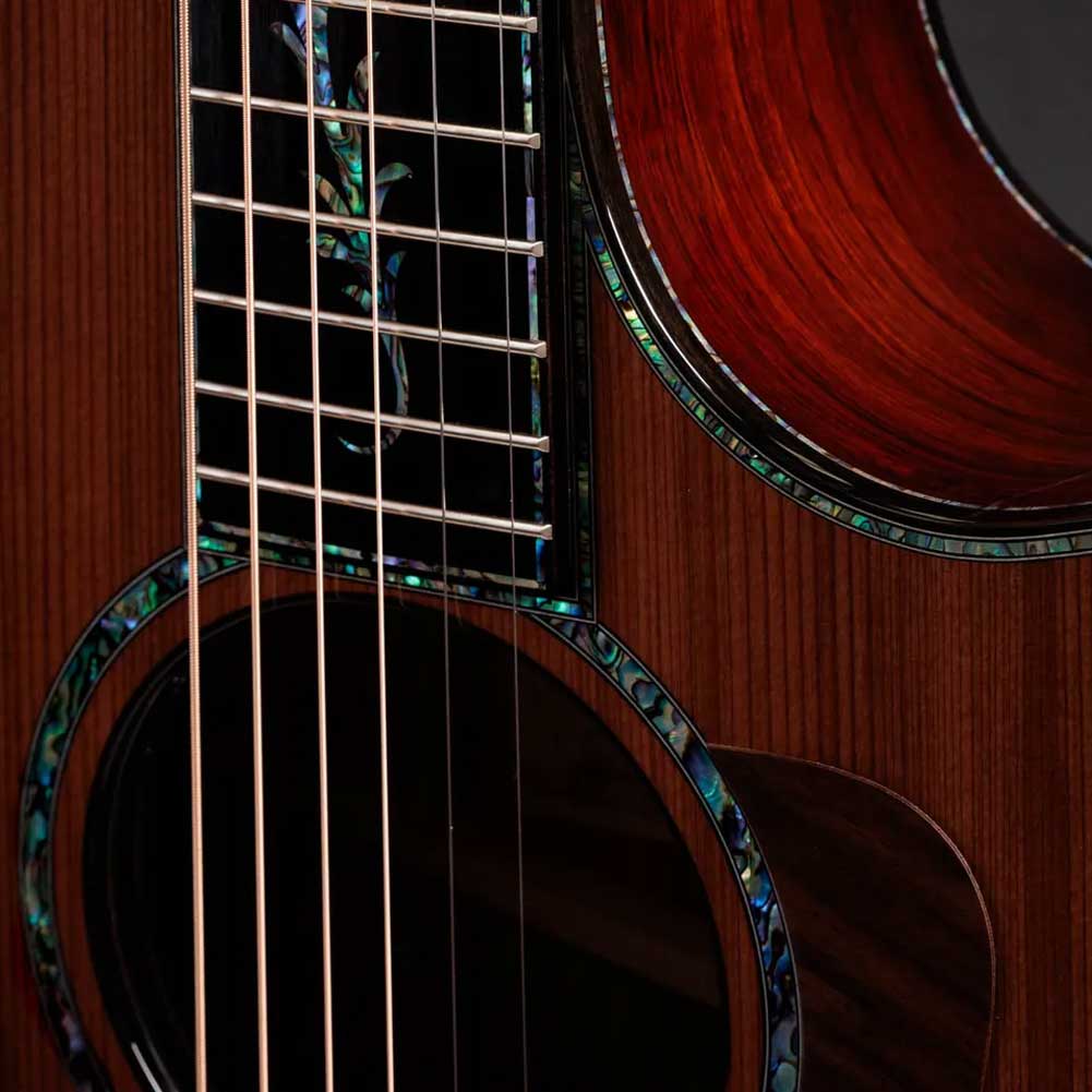 Taylor Next Generation PS14ce Claria electronics Electro Acoustic Guitar with Deluxe Hardshell Case Taylor Next Generation PS14ce Claria electronics Electro Acoustic Guitar with Deluxe Hardshell Case