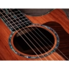 Taylor Next Generation PS14ce Claria electronics Electro Acoustic Guitar with Deluxe Hardshell Case Taylor Next Generation PS14ce Claria electronics Electro Acoustic Guitar with Deluxe Hardshell Case