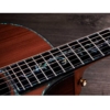Taylor Next Generation PS14ce Claria electronics Electro Acoustic Guitar with Deluxe Hardshell Case Taylor Next Generation PS14ce Claria electronics Electro Acoustic Guitar with Deluxe Hardshell Case