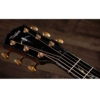 Taylor Next Generation PS14ce Claria electronics Electro Acoustic Guitar with Deluxe Hardshell CaseTaylor Next Generation PS14ce Claria electronics Electro Acoustic Guitar with Deluxe Hardshell Case Taylor Next Generation PS14ce Claria electronics Electro Acoustic Guitar with Deluxe Hardshell Case