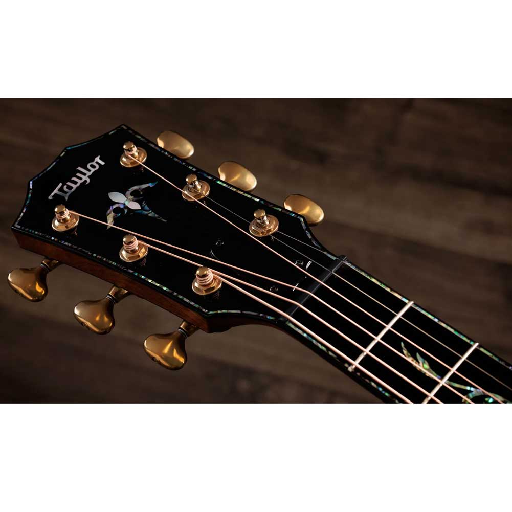 Taylor Next Generation PS14ce Claria electronics Electro Acoustic Guitar with Deluxe Hardshell CaseTaylor Next Generation PS14ce Claria electronics Electro Acoustic Guitar with Deluxe Hardshell Case Taylor Next Generation PS14ce Claria electronics Electro Acoustic Guitar with Deluxe Hardshell Case