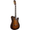 Ibanez FRH20SMN TCL FRH20 Series Thinline Nylon-string Electro Acousitc Guitar with Gig Bag
