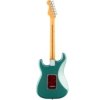 Fender American Professional Classic FSGM Stratocaster SSS Rosewood Fingerboard Electric Guitar with Gig Bag 114940374 Fender American Professional Classic FSGM Stratocaster SSS Rosewood Fingerboard Electric Guitar with Gig Bag 114940374