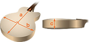 BODY DIMENSIONS