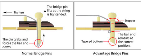 Ibanez Advantage bridge pins