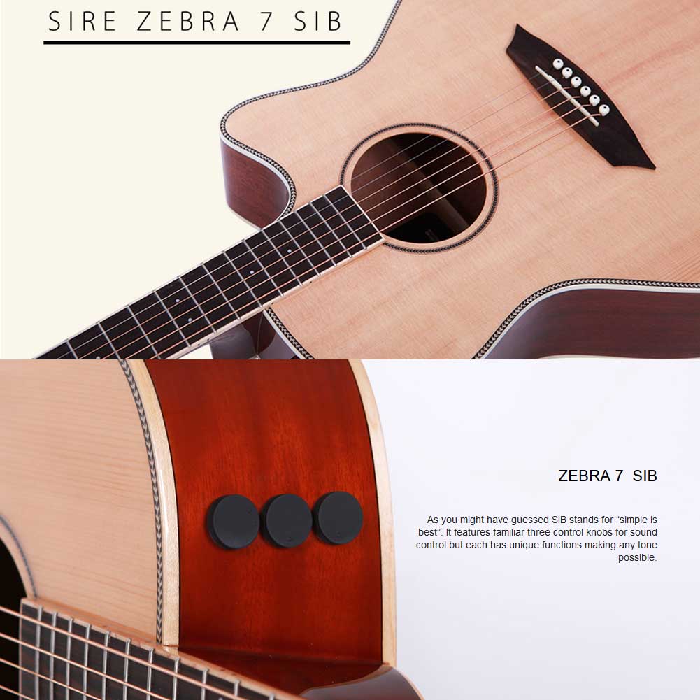 Sire Larry Carlton A3 GS VS Zebra 7 SIB Preamp System Grand