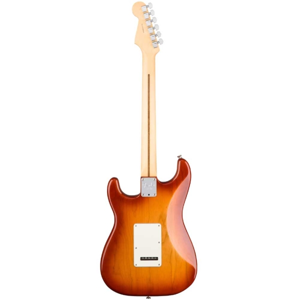 Fender American Professional Stratocaster RW SSS SSB Electric Guitar 0113010747