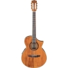 Ibanez EWN28KOE - NT 6 Nylon String Semi Acoustic Guitar Ibanez EWN28KOE - NT 6 Nylon String Semi Acoustic Guitar