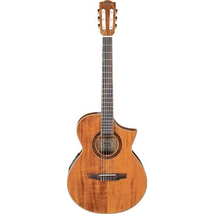 Ibanez EWN28KOE - NT 6 Nylon String Semi Acoustic Guitar